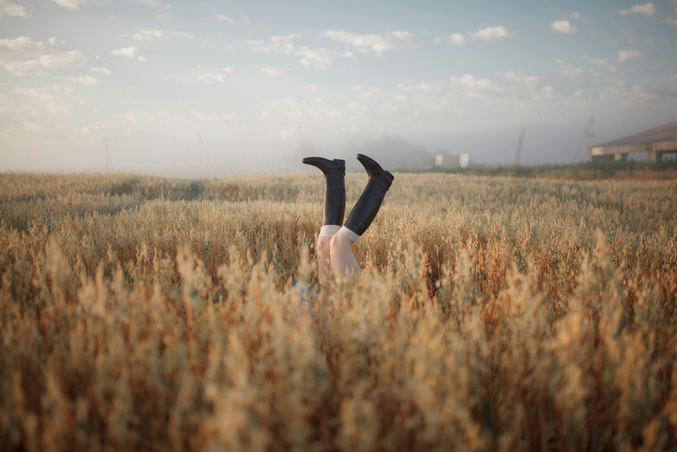 Playful image of legs in boots emerging from a wheat field at sunrise in a rural setting.